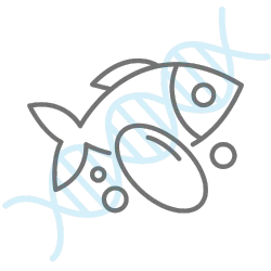 omegas